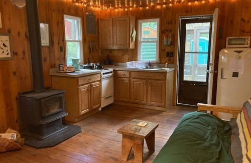 Mio Cabin | Quiet, Simple, and Surrounded by Trees Au Sable Backwaters Mio