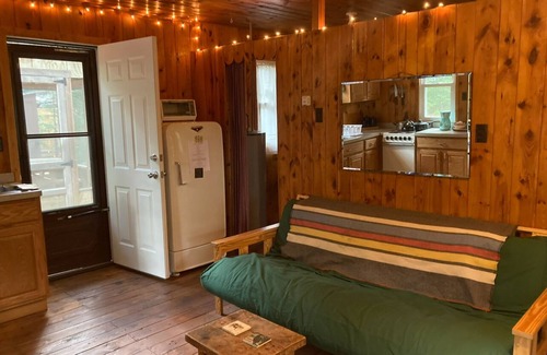 Mio Cabin | Quiet, Simple, and Surrounded by Trees Au Sable Backwaters Mio