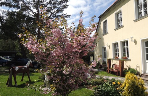 Ostseebad Prerow Apartment | Quiet, WLAN, garden, forest, path to the west beach, gr. Parking lot, suitcase carrier b. Bd.