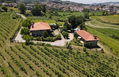 Pevidem House | Quinta de Carvalhal - Casa da Vinha