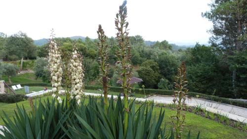 Cabeceiras de Basto House | Quinta do Correia