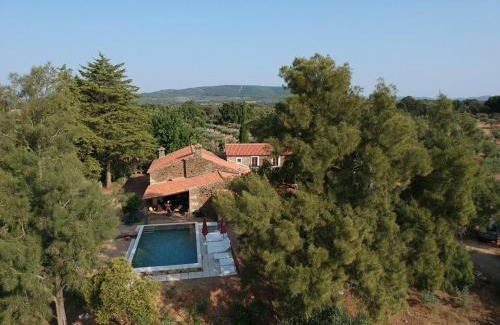Idanha-a-Nova Cabin | Quinta do Vale Coelheiro