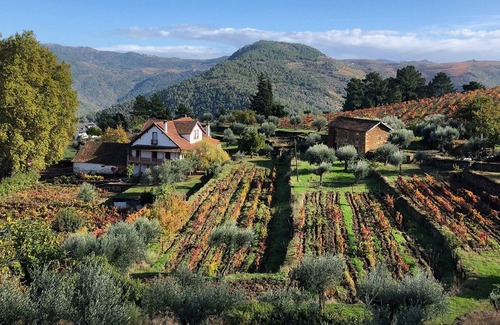 Cotas Other | Quinta Vila Rachel - Adega com Provas de Vinho
