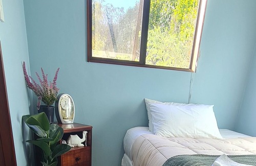Dunedin Apartment | Quite and peaceful self contained