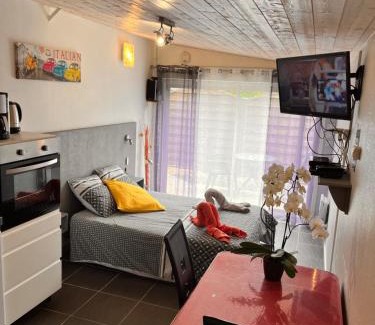 La Roche-sur-Yon Apartment | Résidence Les Alizés 'Sauna Jacuzzi Piscine en plein centre ville"