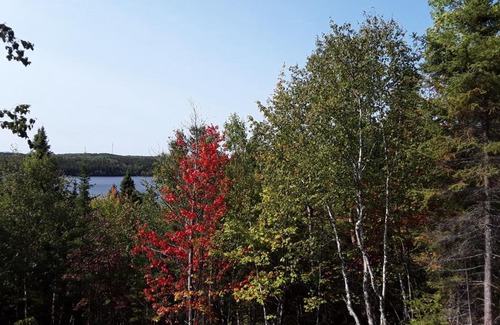 Saint-Felix-d'Otis Cabin | Résidence touristique Lodge des Bois