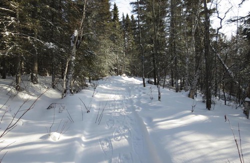Saint-Felix-d'Otis Cabin | Résidence touristique Lodge des Bois