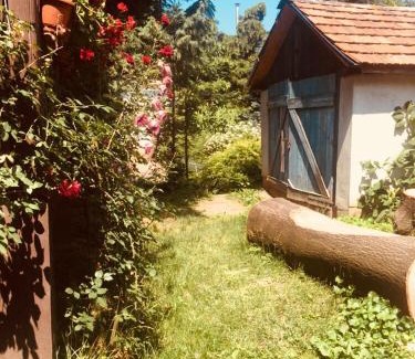 Nyiregyhaza House | Rózsakert Panzió
