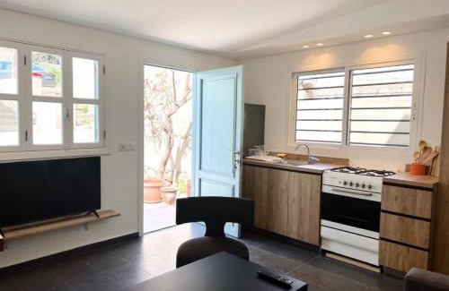 Beirut Apartment | Railway House 1BR Apt with front yard, 24 hours power
