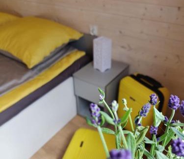 Jastrzebia Gora Ski Chalet | Rainbow Resort