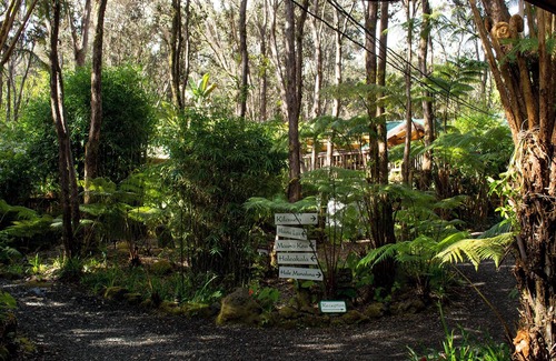 Volcano Bed & Breakfast | Rainforest Retreat in Volcano Village