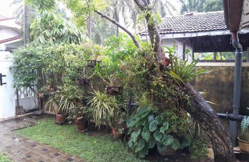 Negombo House | Ralph recedency