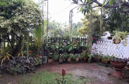 Negombo House | Ralph recedency