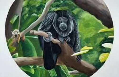 San Lorenzo Apartment | Randi's Oasis - The Monkey Room