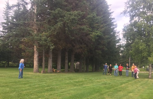 Homer House | Ranger Station Views