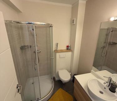 Sibiu Apartment | Ready to use