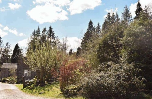 Hawes House | Red Squirrel Haven 2BR House - Sleeps 4 - Parking
