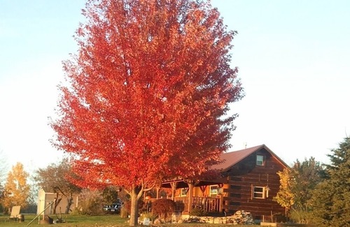 Clayton Cabin | Redbird Ridge Cabin with View