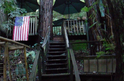 Felton Cabin | Redwood Mountain Hideaway in Felton near Lake + Santa Cruz