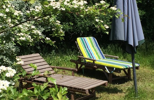 Randowtal Apartment | Refuge in the Uckermark + plenty of nature + idyll with garden sauna + stylish living
