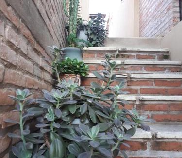 Concepcion del Uruguay Apartment | Refugio