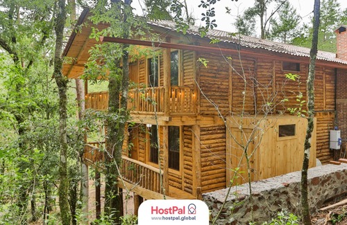 Acaxochitlan Apartment | Refugio encantado | Tirolesa & Bicicletas | Bosque