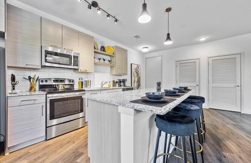 Downtown Decatur Apartment | Regal Noir 2BR/2BA | Short-Term Rental in Decatur w/Pool & Rooftop Lounge