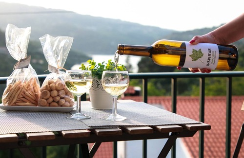 Oliveira do Douro House | Regouro - an Hidden Gem in Douro Valley