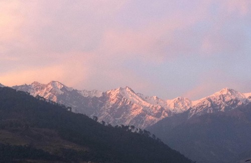Palampur House | Rejuvenate-your body and the Soul