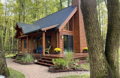 Farwell Cabin | Relax and Unplug at this peaceful log home.