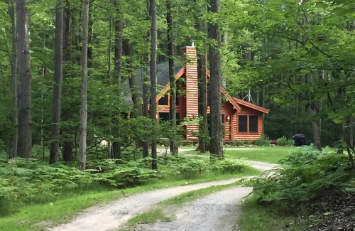 Farwell Cabin | Relax and Unplug at this peaceful log home.