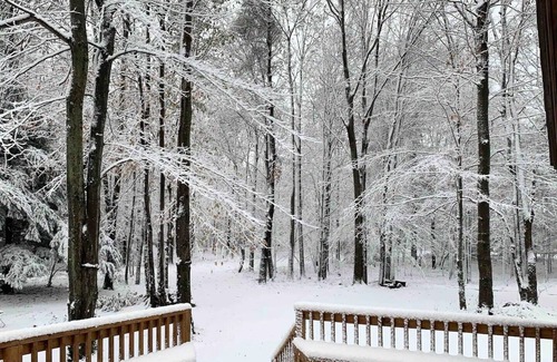 Mears Cabin | Relax, swim, dune, and explore the summer in Silver Lake!