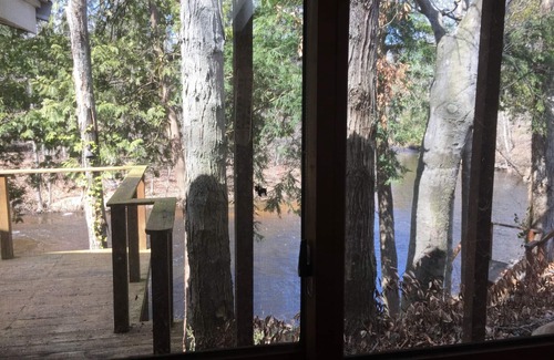 Branch Cabin | Relaxing cozy cabin on beautiful Pere Marquette River - Recently Renovated!