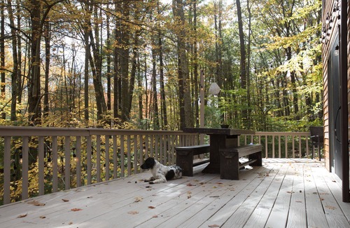 Willow House | Relaxing House in Catskills Forest Near Pretty Pond - near Woodstock/Phoenicia.