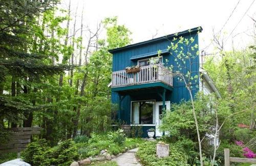 Douglas Cabin | Relaxing, lake, beach, serene, wooded, leisure, peace, respite, tranquil, pool