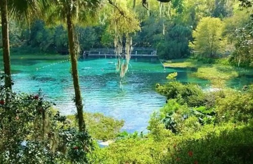 Dunnellon RV Rental | Relaxing tent in private campground 20 minutes from rainbow springs
