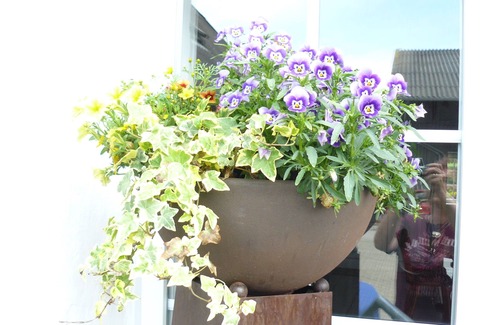 Tetenhusen Apartment | Relaxing vacation with family and dog on a historic farm
