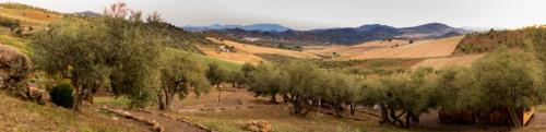 Antequera House | Relente