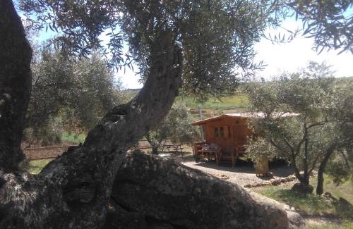 Antequera House | Relente