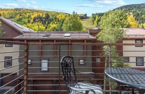 Telluride Condo | Remodeled Luxury Condo - Open for Bluegrass