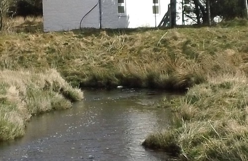 Halkirk House | Remote pet friendly wilderness of Caithness - Free Fishing