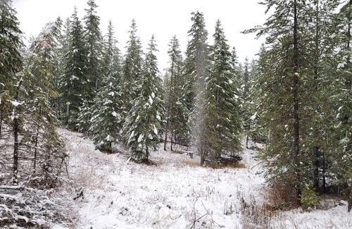 Harvard RV Rental | Remote RV site w/o hookups. Perfect for campers under 30 feet. Site C.