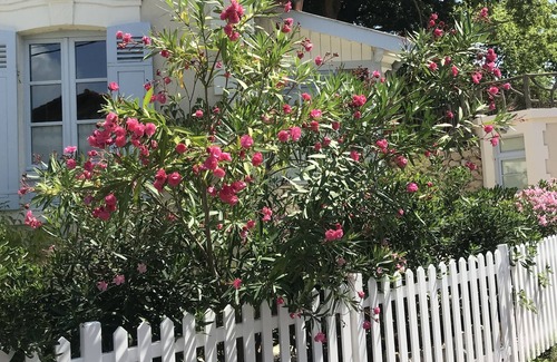 Arcachon House | Rent villa very quiet ARCACHON QUARTIER VILLE D'HIVER beach 300m 5 sleeps
