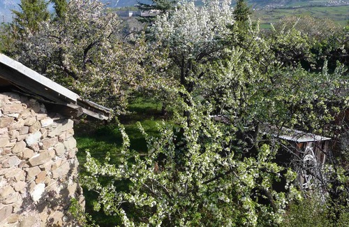 Risoul House | Rental apartment type 2 in mountain house in Risoul - 05600