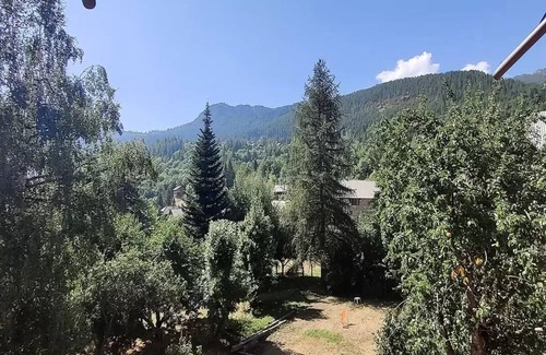 Puy-Saint-Vincent Ski Chalet | Residence House - Beautiful village house completely renovated