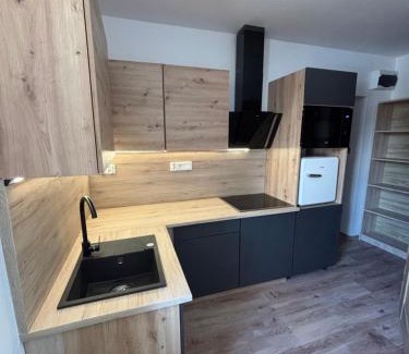 Liberec Apartment | Residence Orlí
