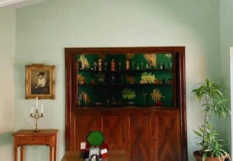 Central Cuernavaca House | Residencia Casa del Roble 1