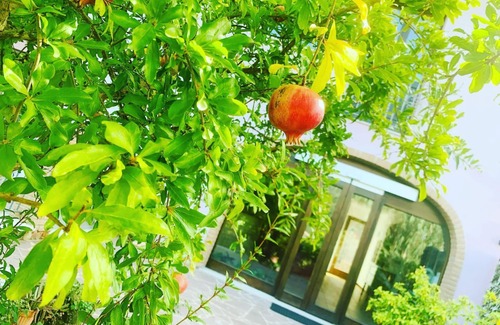 Teulada Apartment | Residenza Locci Aparthotel & Rooms Studio Apartment with Terrace in the greenery in the center of Teulada.