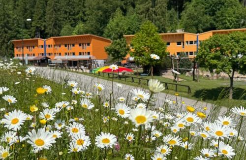 Spindleruv Mlyn Hotel | Resort Špindl