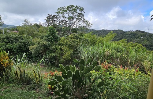 Falan House | Rest House